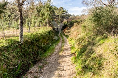 Helårsgrund i Vila Verde, Braga, Vila Verde - € 65.000 | Ref: 054004 - foto 13