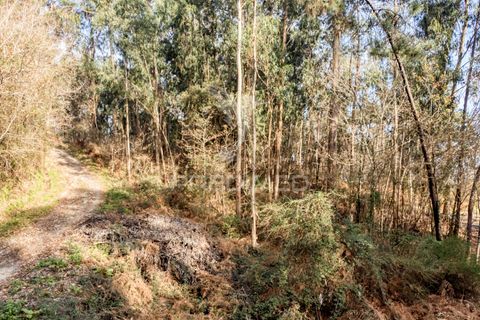 Helårsgrund i Vila Verde, Braga, Vila Verde - € 65.000 | Ref: 054004 - foto 14
