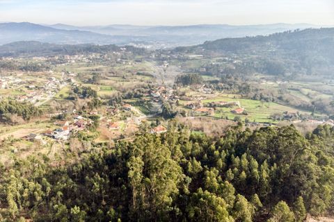 Helårsgrund i Vila Verde, Braga, Vila Verde - € 65.000 | Ref: 054004 - foto 15