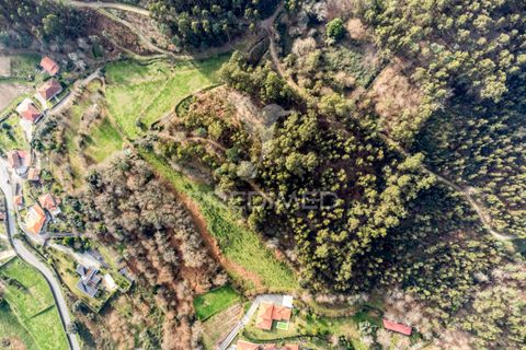 Helårsgrund i Vila Verde, Braga, Vila Verde - € 65.000 | Ref: 054004 - foto 17