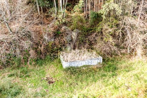 Helårsgrund i Vila Verde, Braga, Vila Verde - € 65.000 | Ref: 054004 - foto 18