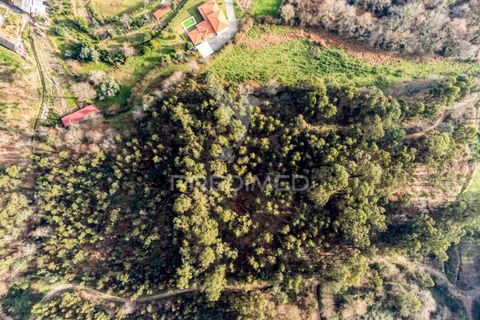 Helårsgrund i Vila Verde, Braga, Vila Verde - € 65.000 | Ref: 054004 - foto 19