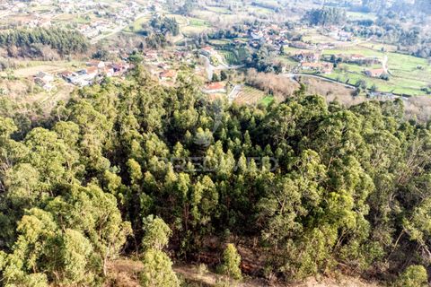 Helårsgrund i Vila Verde, Braga, Vila Verde - € 65.000 | Ref: 054004 - foto 21