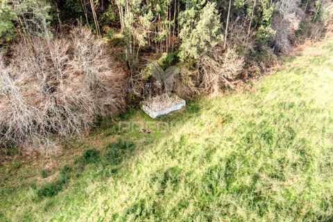 Helårsgrund i Vila Verde, Braga, Vila Verde - € 65.000 | Ref: 054004 - foto 23