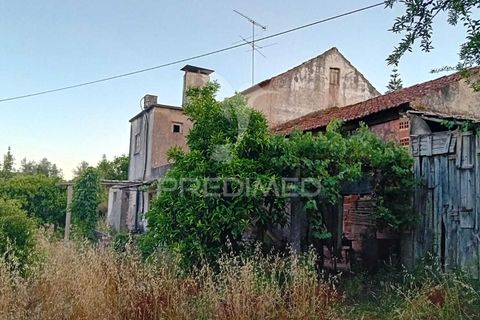 Byhus i Alvaiazere, Leiria, Alvaiazere - € 55.000 | Ref: 054115 - foto 3