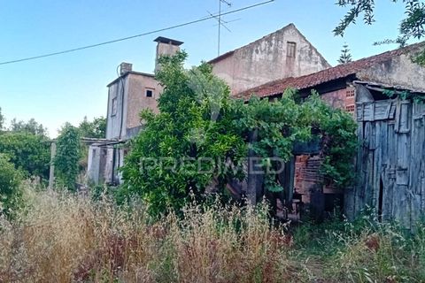 Byhus i Alvaiazere, Leiria, Alvaiazere - € 55.000 | Ref: 054115 - foto 4