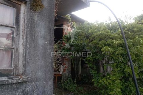 Byhus i Alvaiazere, Leiria, Alvaiazere - € 55.000 | Ref: 054115 - foto 7