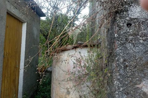 Byhus i Alvaiazere, Leiria, Alvaiazere - € 55.000 | Ref: 054115 - foto 10