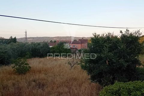 Byhus i Alvaiazere, Leiria, Alvaiazere - € 55.000 | Ref: 054115 - foto 17