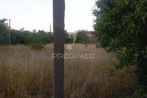 Byhus i Alvaiazere, Leiria, Alvaiazere - € 55.000 | Ref: 054115 - foto 19