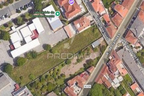 Helårsgrund i Ilhavo, Aveiro, Ilhavo - € 750.000 | Ref: 054228 - foto 4