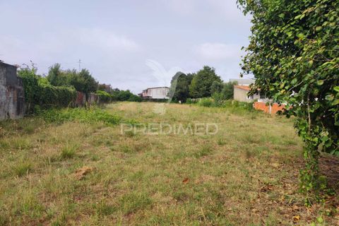 Helårsgrund i Ilhavo, Aveiro, Ilhavo - € 750.000 | Ref: 054228 - foto 5