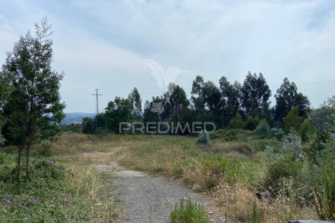 Helårsgrund i Gondomar, Porto, Gondomar - € 51.200 | Ref: 054259 - foto 5
