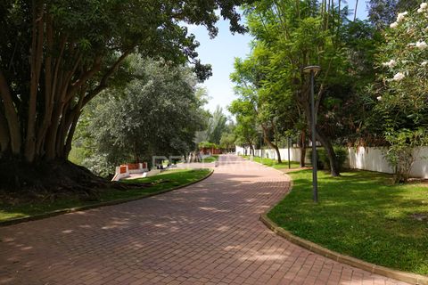 Byhus i Constancia, Santarem, Constancia - € 745.000 | Ref: 054586 - foto 14