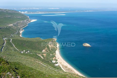 Erhvervsejendom i Setubal, Setubal, Setubal - € 595.000 | Ref: 054766 - foto 8
