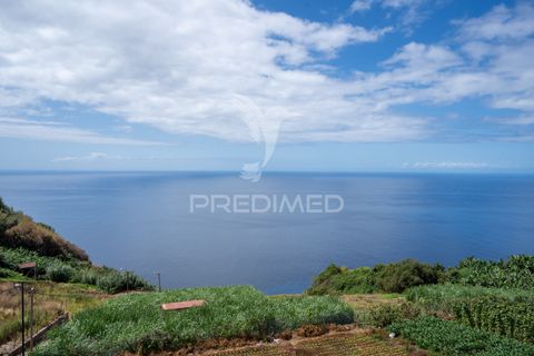 Byhus i Ponta do Sol, Madeira, Ponta do Sol - € 1.300.000 | Ref: 054904 - foto 5