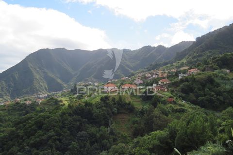 Helårsgrund i Machico, Madeira, Machico - € 37.500 | Ref: 055077 - foto 2
