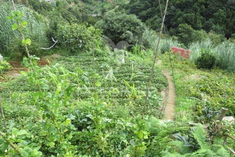 Helårsgrund i Machico, Madeira, Machico - € 37.500 | Ref: 055077 - foto 4