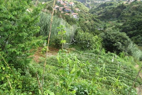 Helårsgrund i Machico, Madeira, Machico - € 37.500 | Ref: 055077 - foto 5