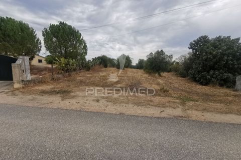 Helårsgrund i Tomar, Santarem, Tomar - € 22.500 | Ref: 055251 - foto 1