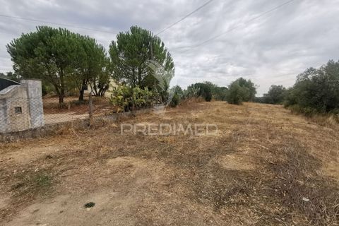 Helårsgrund i Tomar, Santarem, Tomar - € 22.500 | Ref: 055251 - foto 2