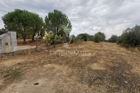 Helårsgrund i Tomar, Santarem, Tomar - € 22.500 | Ref: 055251 - foto 3