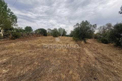 Helårsgrund i Tomar, Santarem, Tomar - € 22.500 | Ref: 055251 - foto 5
