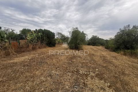 Helårsgrund i Tomar, Santarem, Tomar - € 22.500 | Ref: 055251 - foto 6