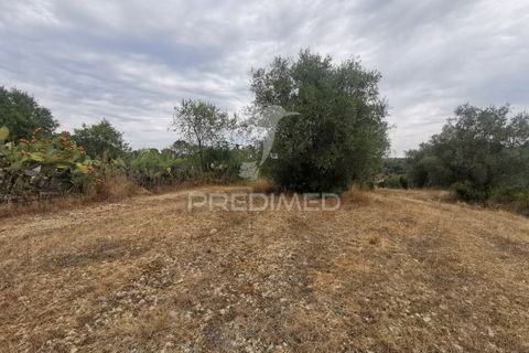 Helårsgrund i Tomar, Santarem, Tomar - € 22.500 | Ref: 055251 - foto 7