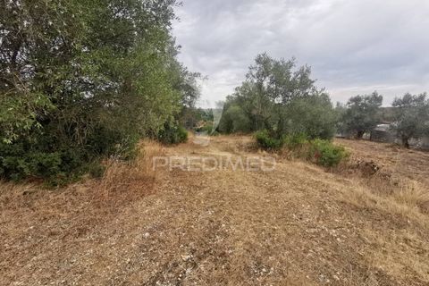 Helårsgrund i Tomar, Santarem, Tomar - € 22.500 | Ref: 055251 - foto 8