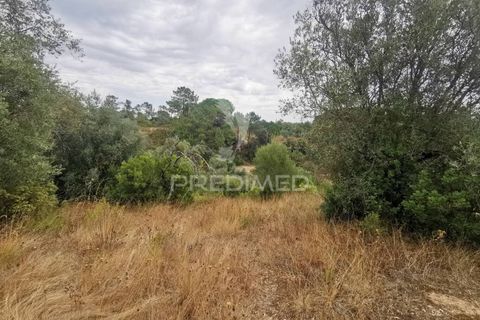 Helårsgrund i Tomar, Santarem, Tomar - € 22.500 | Ref: 055251 - foto 9