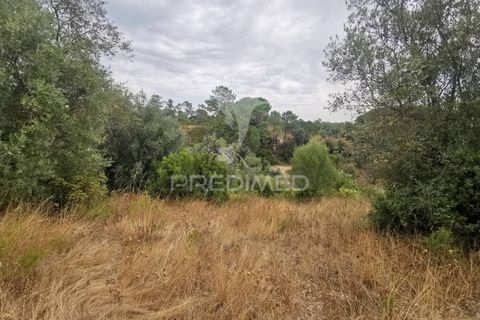 Helårsgrund i Tomar, Santarem, Tomar - € 22.500 | Ref: 055251 - foto 10