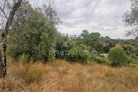 Helårsgrund i Tomar, Santarem, Tomar - € 22.500 | Ref: 055251 - foto 11
