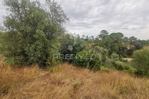 Helårsgrund i Tomar, Santarem, Tomar - € 22.500 | Ref: 055251 - foto 12