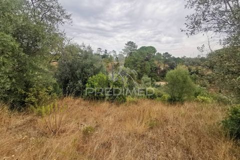 Helårsgrund i Tomar, Santarem, Tomar - € 22.500 | Ref: 055251 - foto 13
