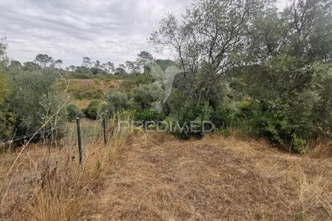Helårsgrund i Tomar, Santarem, Tomar - € 22.500 | Ref: 055251 - foto 15