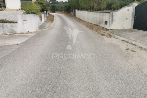 Helårsgrund i Tomar, Santarem, Tomar - € 22.500 | Ref: 055251 - foto 16