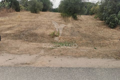 Helårsgrund i Tomar, Santarem, Tomar - € 22.500 | Ref: 055251 - foto 17