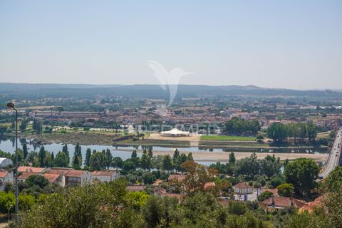 Helårsgrund i Abrantes, Santarem, Abrantes - € 45.000 | Ref: 055258 - foto 12