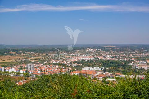 Helårsgrund i Abrantes, Santarem, Abrantes - € 45.000 | Ref: 055258 - foto 14