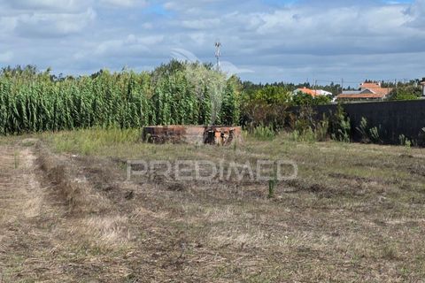 Helårsgrund i Leiria, Leiria, Leiria - € 65.000 | Ref: 055264 - foto 2