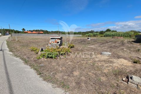 Helårsgrund i Leiria, Leiria, Leiria - € 65.000 | Ref: 055264 - foto 3