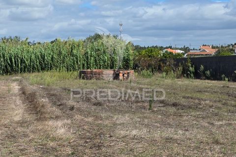 Helårsgrund i Leiria, Leiria, Leiria - € 65.000 | Ref: 055264 - foto 5