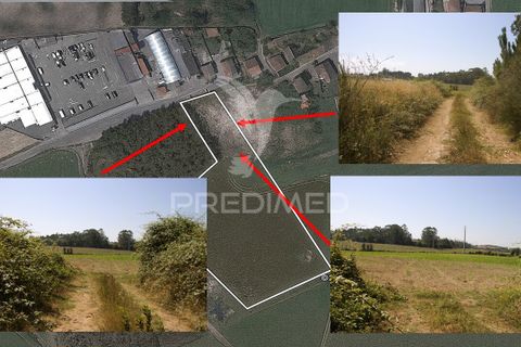 Helårsgrund i Vila do Conde, Porto, Vila do Conde - € 650.000 | Ref: 055291 - foto 2