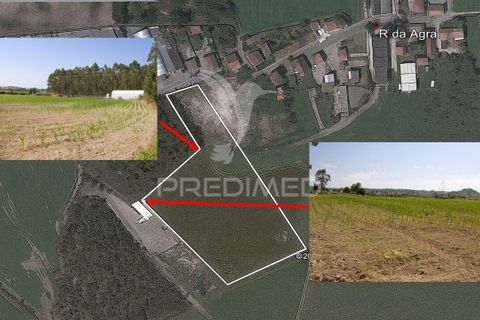 Helårsgrund i Vila do Conde, Porto, Vila do Conde - € 650.000 | Ref: 055291 - foto 3