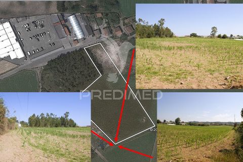 Helårsgrund i Vila do Conde, Porto, Vila do Conde - € 650.000 | Ref: 055291 - foto 4