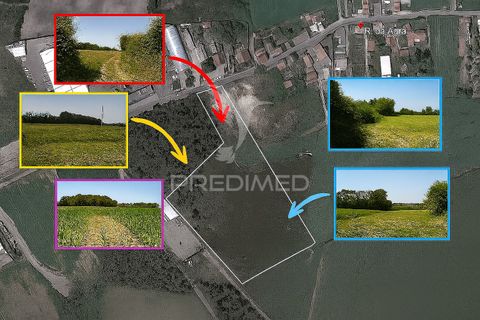 Helårsgrund i Vila do Conde, Porto, Vila do Conde - € 650.000 | Ref: 055291 - foto 7