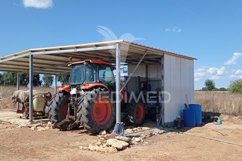 Farm hus i Sousel, Portalegre, Sousel - € 159.000 | Ref: 055495 - foto 2