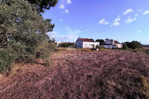 Byhus i Palmela, Setubal, Palmela - € 340.000 | Ref: 055594 - foto 2