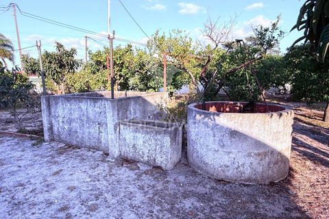 Byhus i Palmela, Setubal, Palmela - € 340.000 | Ref: 055594 - foto 23